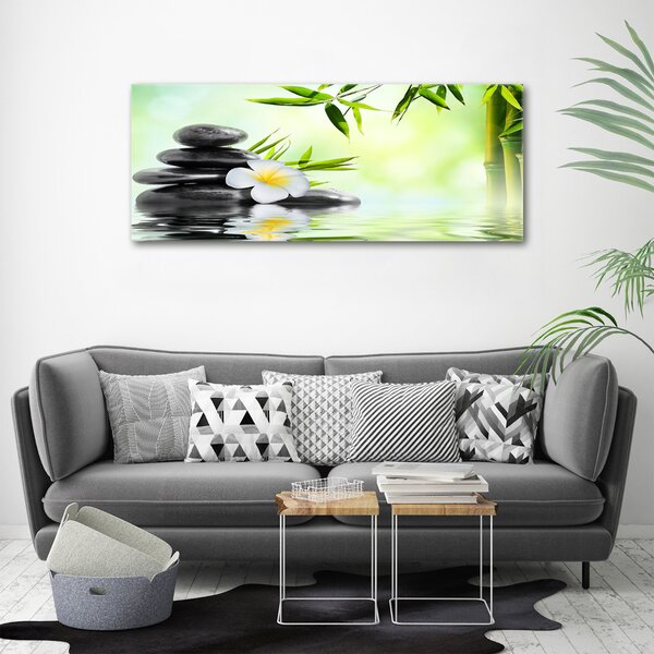Moderní obraz canvas na rámu Orchidej a bambus oc-68618057