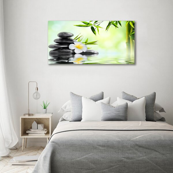 Moderní obraz canvas na rámu Orchidej a bambus oc-68618057