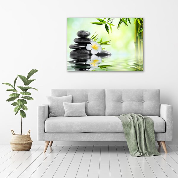 Moderní obraz canvas na rámu Orchidej a bambus oc-68618057