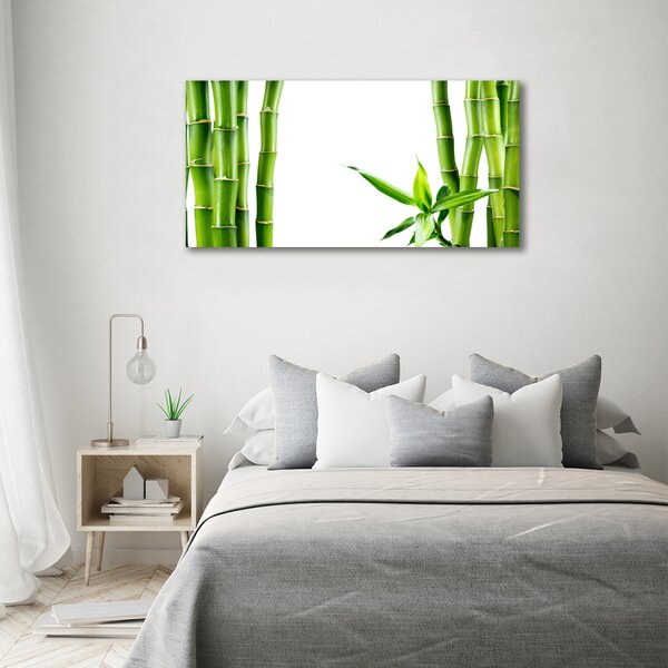 Foto obraz canvas Bambus oc-68827460