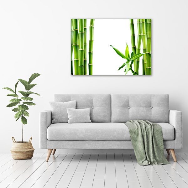 Foto obraz canvas Bambus oc-68827460