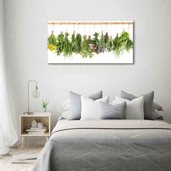 Moderní obraz canvas na rámu Bylina na provázku oc-68998544