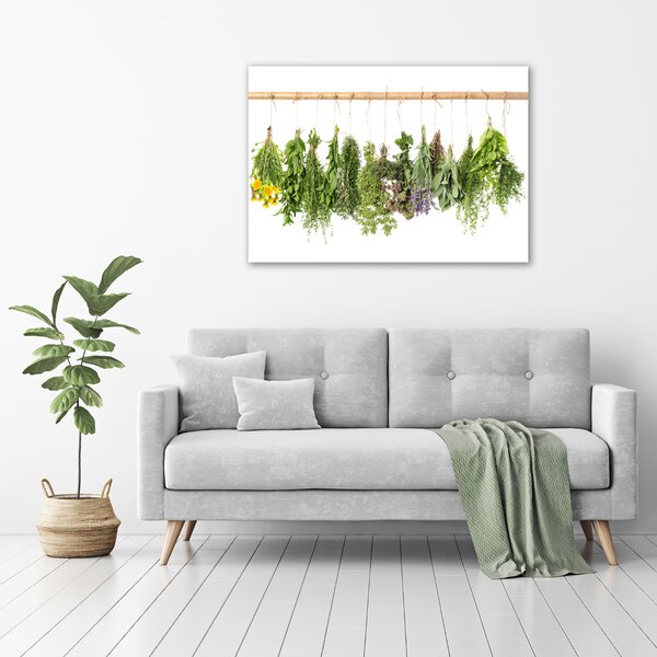 Moderní obraz canvas na rámu Bylina na provázku oc-68998544