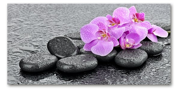 Moderní foto obraz na stěnu Orchidej kamení osh-69189175