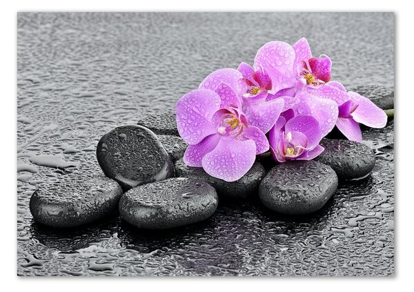 Moderní foto obraz na stěnu Orchidej kamení osh-69189175