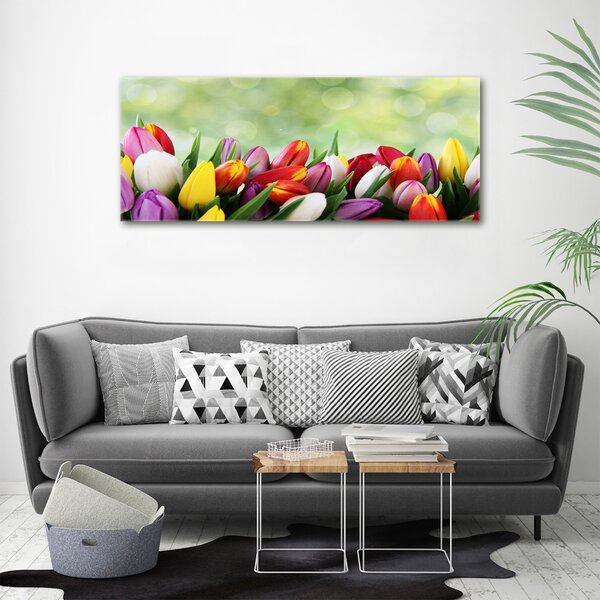Moderní obraz canvas na rámu Barevné tulipány oc-69344290