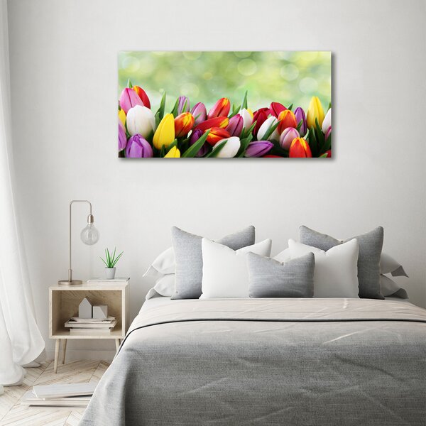 Moderní obraz canvas na rámu Barevné tulipány oc-69344290