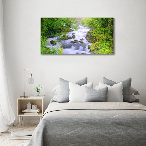 Foto obraz fotografie na skle Horská řeka osh-69563755