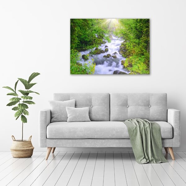 Foto obraz fotografie na skle Horská řeka osh-69563755