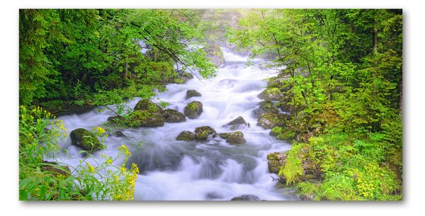 Foto obraz fotografie na skle Horská řeka osh-69563755