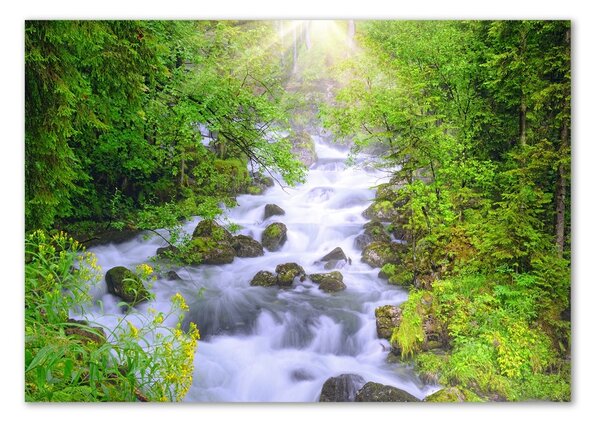 Foto obraz fotografie na skle Horská řeka osh-69563755