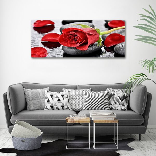 Moderní fotoobraz canvas na rámu Červená růže oc-69893127