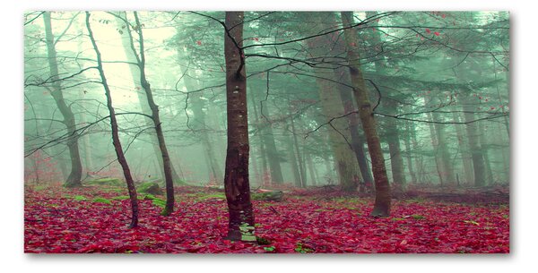 Foto obraz fotografie na skle Podzimní listí osh-69969549