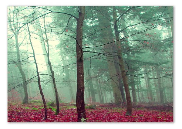 Foto obraz fotografie na skle Podzimní listí osh-69969549