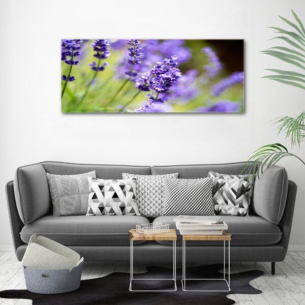 Foto-obraz canvas do obýváku Levandule oc-70339730