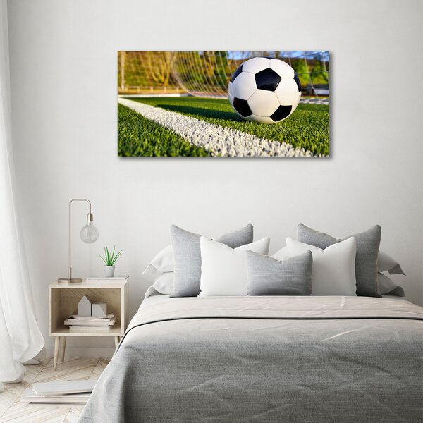 Moderní fotoobraz canvas na rámu Míč v bramce oc-70358080
