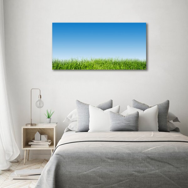 Moderní skleněný obraz z fotografie Tráva osh-70389289