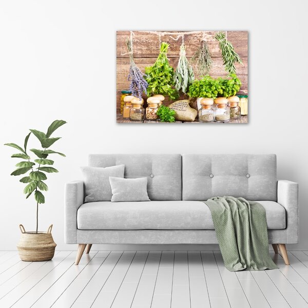 Foto obraz na plátně Bylina na provázku oc-70518876
