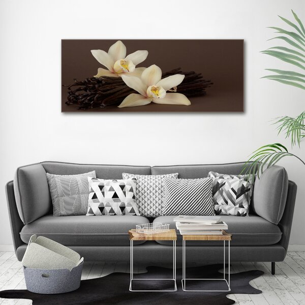 Moderní fotoobraz canvas na rámu Vanilka oc-7056767