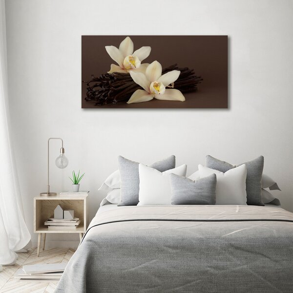Moderní fotoobraz canvas na rámu Vanilka oc-7056767
