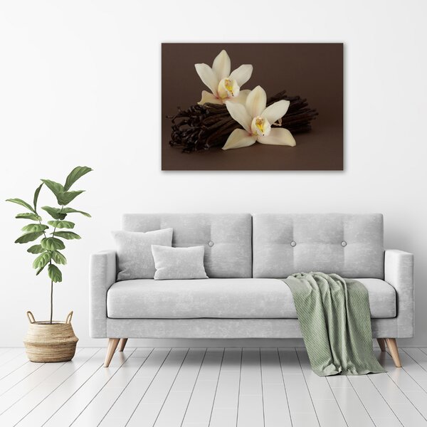 Moderní fotoobraz canvas na rámu Vanilka oc-7056767