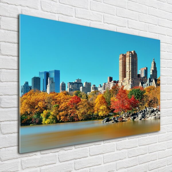 Foto obraz skleněný horizontální New York podzim osh-70676089