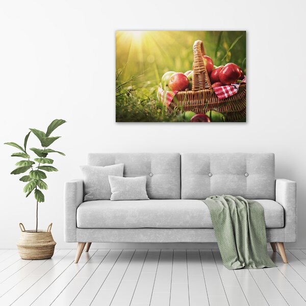 Foto obraz canvas Jablka v koši oc-70920367