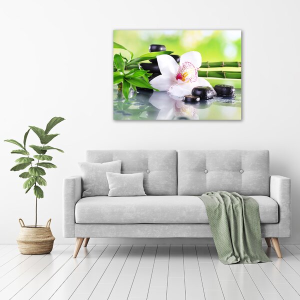 Foto obraz na plátně do obýváku Orchidej oc-71100540