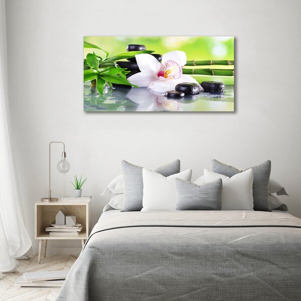 Foto obraz na plátně do obýváku Orchidej oc-71100540