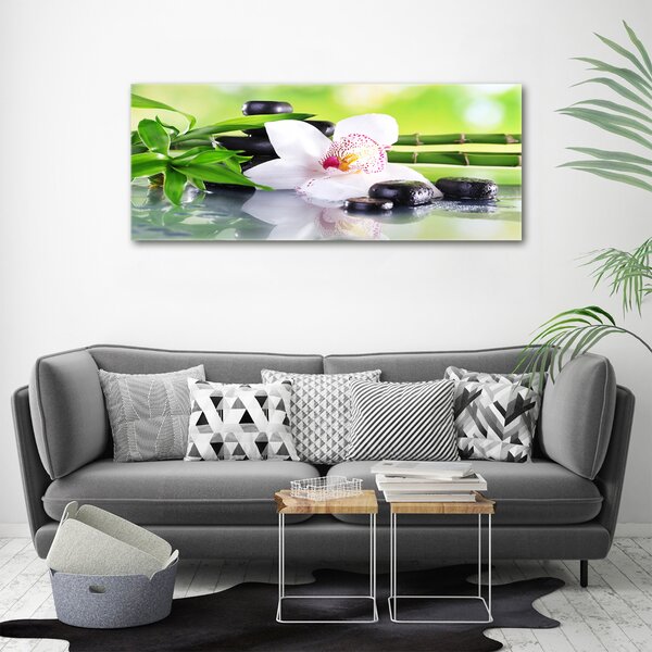 Foto obraz na plátně do obýváku Orchidej oc-71100540
