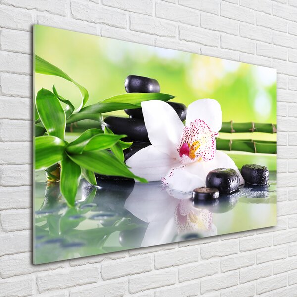 Foto-obrah sklo tvrzené Orchidej osh-71100540