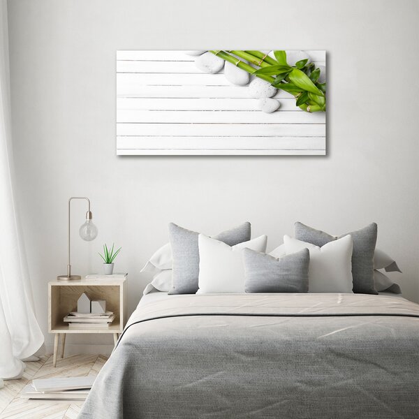 Moderní fotoobraz canvas na rámu Bambus oc-71294993