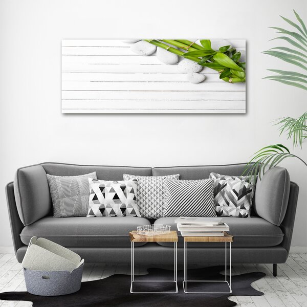 Moderní fotoobraz canvas na rámu Bambus oc-71294993