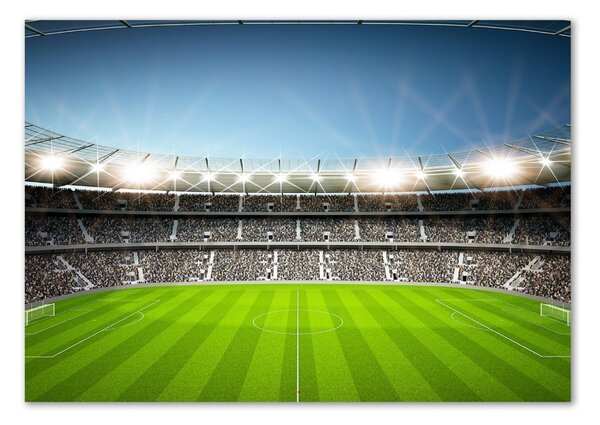 Moderní skleněný obraz z fotografie Stadion osh-71355206