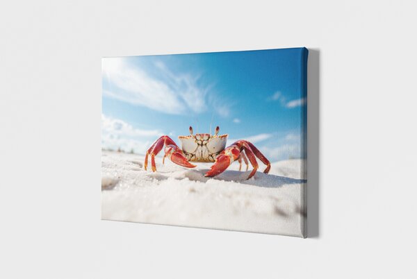 Obraz na plátně - červený krab na písečné pláži FeelHappy.cz Rozměr obrazu (Šířka x Výška): 40 x 30 cm