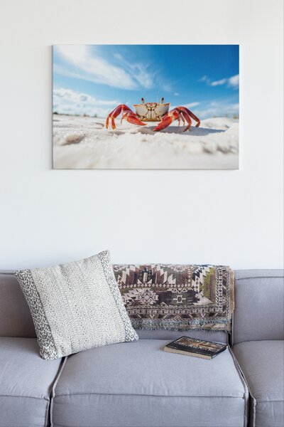 Obraz na plátně - červený krab na písečné pláži FeelHappy.cz Rozměr obrazu (Šířka x Výška): 40 x 30 cm