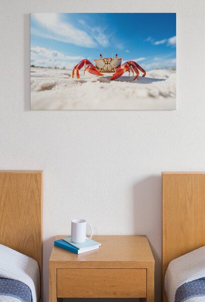 Obraz na plátně - červený krab na písečné pláži FeelHappy.cz Rozměr obrazu (Šířka x Výška): 40 x 30 cm
