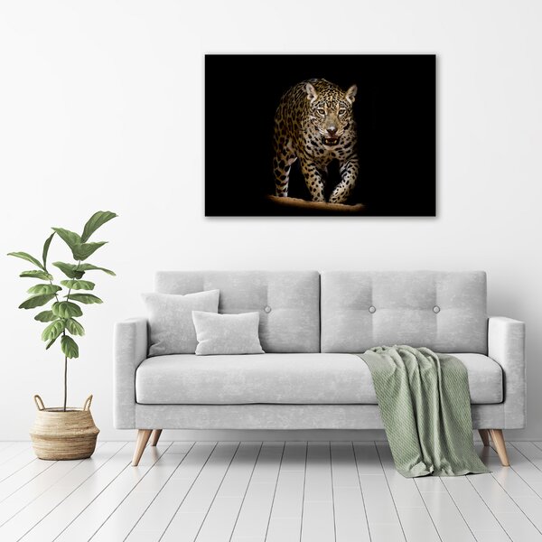 Foto obraz na plátně Jaguál oc-71556052