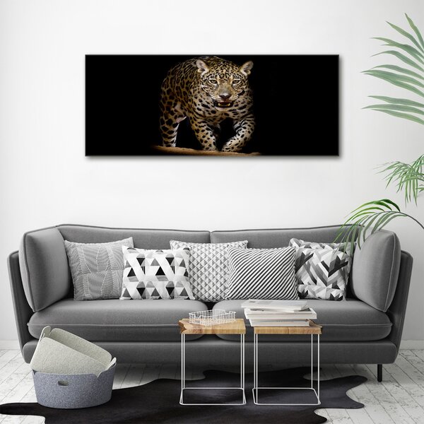 Foto obraz na plátně Jaguál oc-71556052