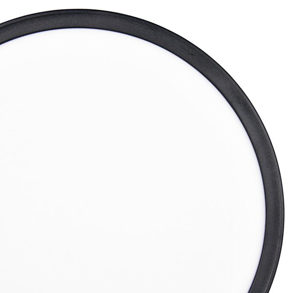 Stropní svítidlo EMRA 2 černá, průměr 29 cm