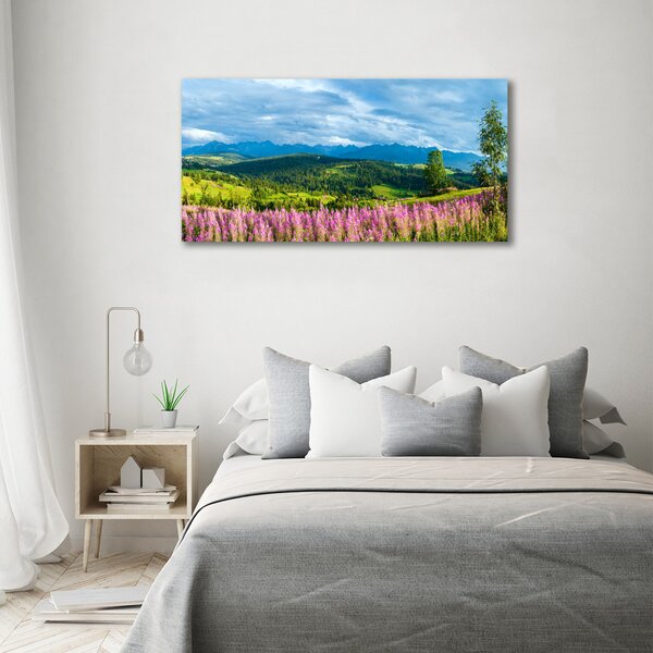 Foto obraz canvas Levandule v horách oc-71828150
