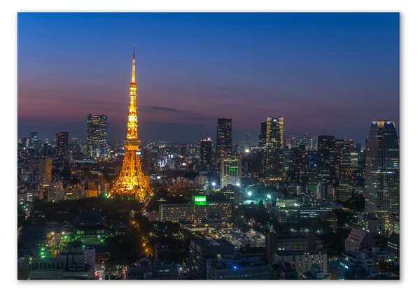 Moderní foto obraz na stěnu Věž v Tokio osh-71822864