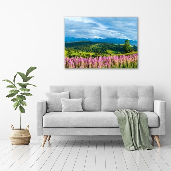 Foto obraz canvas Levandule v horách oc-71828150