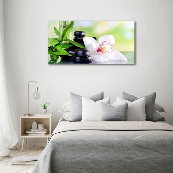 Foto obraz na plátně Orchidej oc-71878177