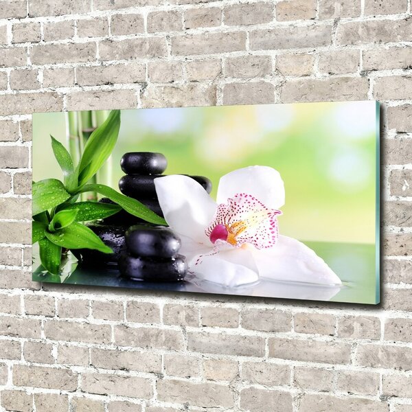 Foto obraz sklo tvrzené Orchidej osh-71878177