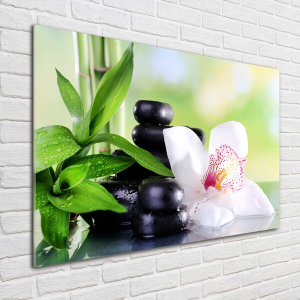 Foto obraz sklo tvrzené Orchidej osh-71878177
