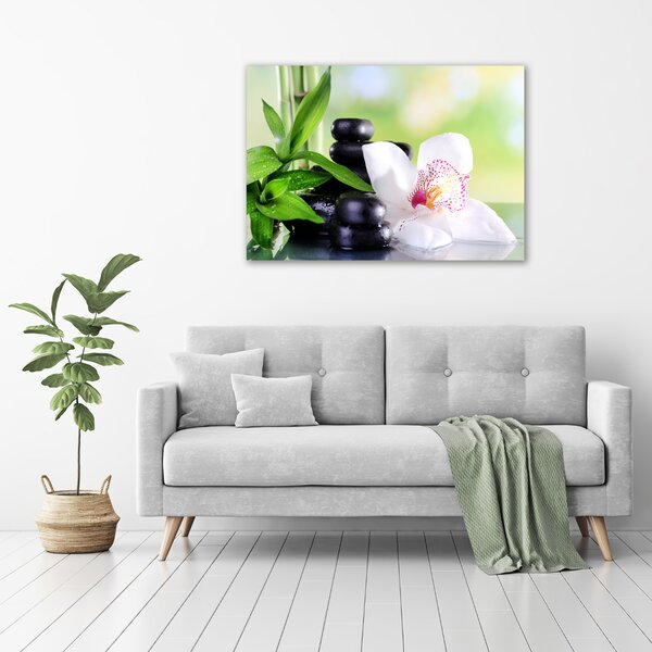 Foto obraz na plátně Orchidej oc-71878177