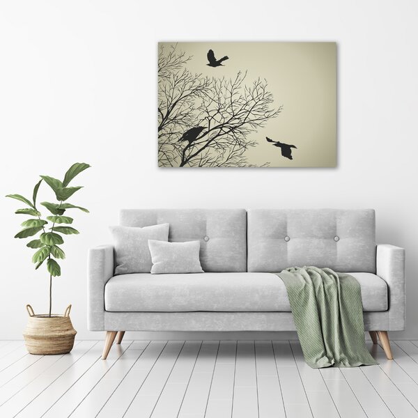 Moderní fotoobraz canvas na rámu Vrány na stromě oc-72229851