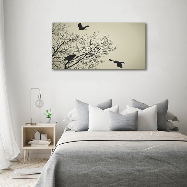 Moderní fotoobraz canvas na rámu Vrány na stromě oc-72229851