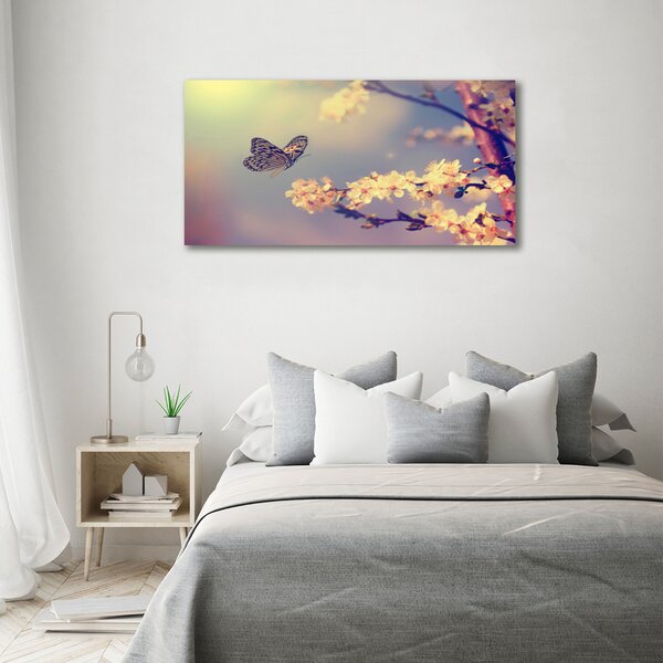 Moderní obraz canvas na rámu Květ viště a motýl oc-72331211